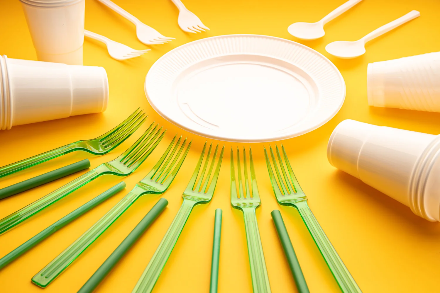 Custom Food
Packaging UAE